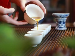 上海品茶【51品茶最新】